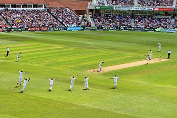 Test Series Review